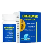 Cardiovascular System