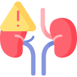 Kidney Disease