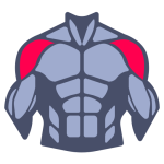 Musculoskeletal Systems